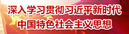 习近平新时代中国特色社会主义思想